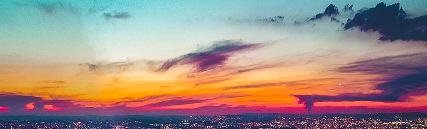 沙洋茶虫网_沙洋品茶